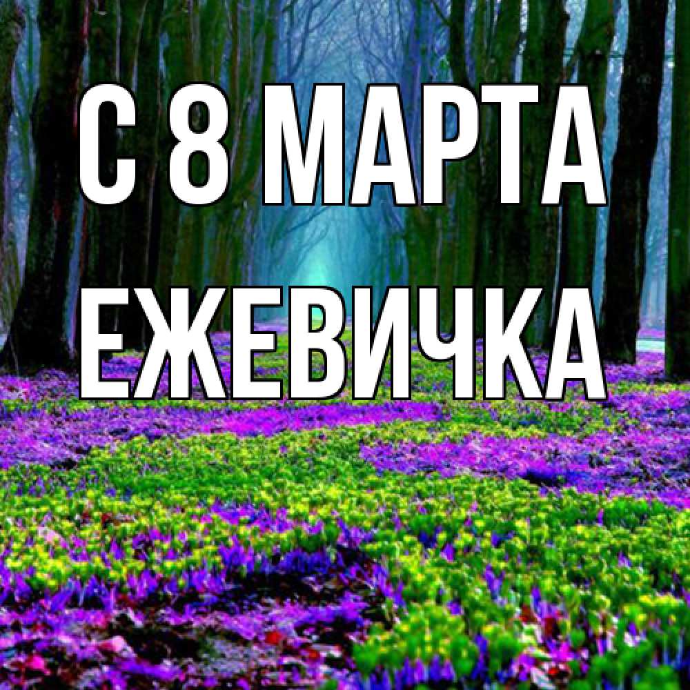 Открытка на каждый день с именем, ежевичка C 8 МАРТА фиолетовые цветы в лесу 1 Прикольная открытка с пожеланием онлайн скачать бесплатно 