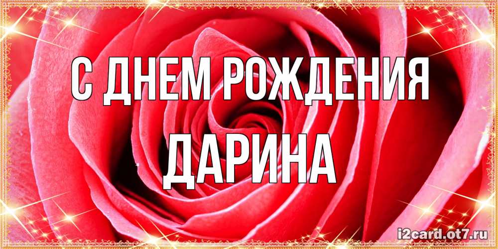 Открытка на каждый день с именем, Дарина С днем рождения розовая роза очень крупный бутон Прикольная открытка с пожеланием онлайн скачать бесплатно 