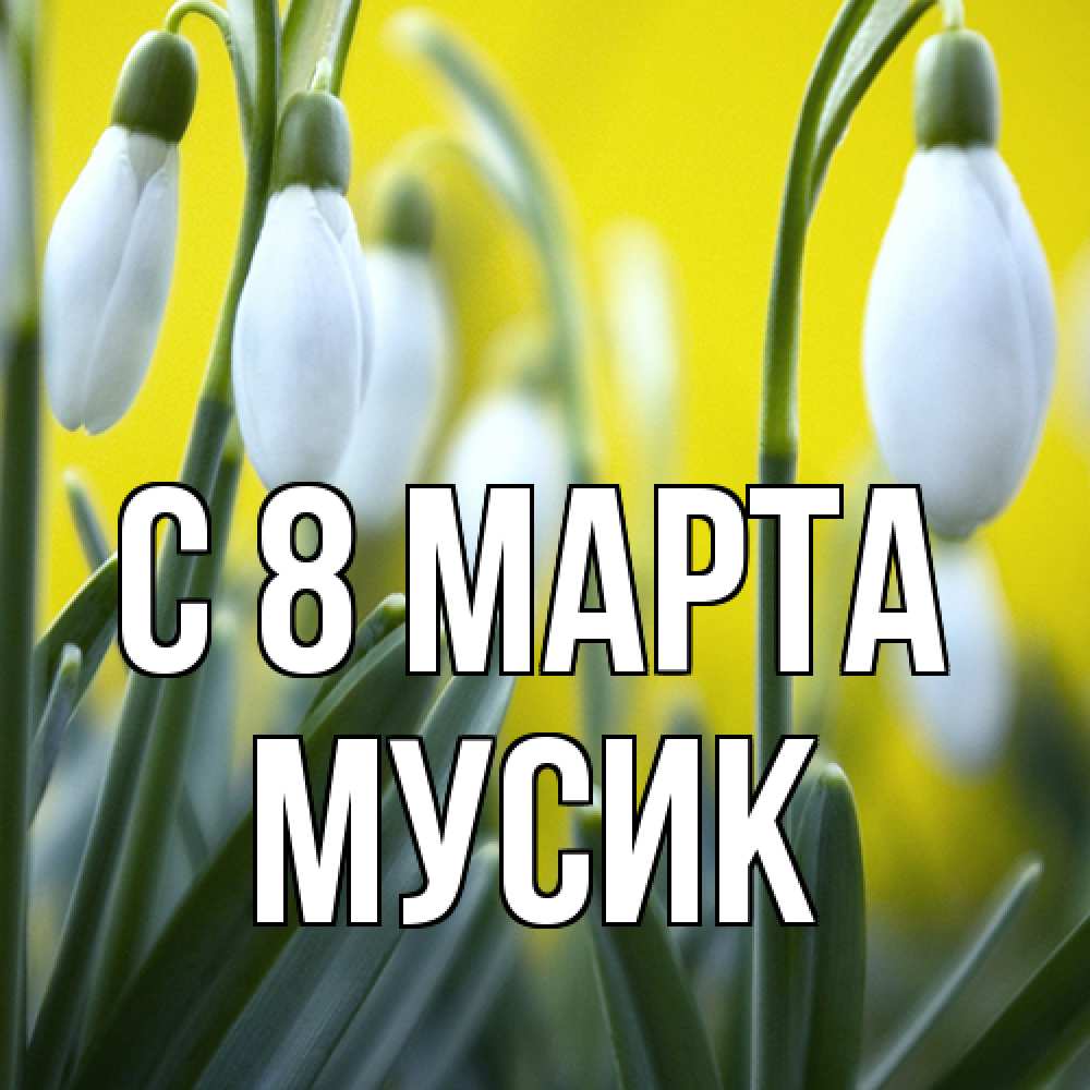Открытка на каждый день с именем, мусик C 8 МАРТА весенние цветы Прикольная открытка с пожеланием онлайн скачать бесплатно 