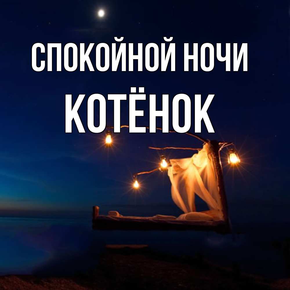 Открытка на каждый день с именем, Котёнок Спокойной ночи милый мой Прикольная открытка с пожеланием онлайн скачать бесплатно 