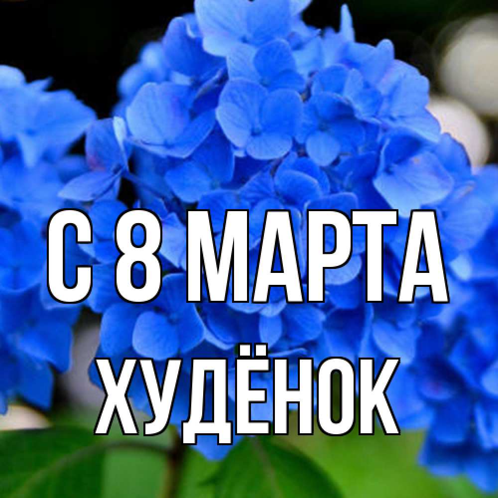 Открытка на каждый день с именем, худёнок C 8 МАРТА синие цветы Прикольная открытка с пожеланием онлайн скачать бесплатно 