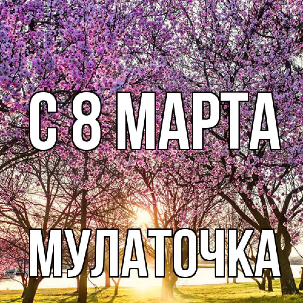 Открытка на каждый день с именем, Мулаточка C 8 МАРТА международный женский день Прикольная открытка с пожеланием онлайн скачать бесплатно 