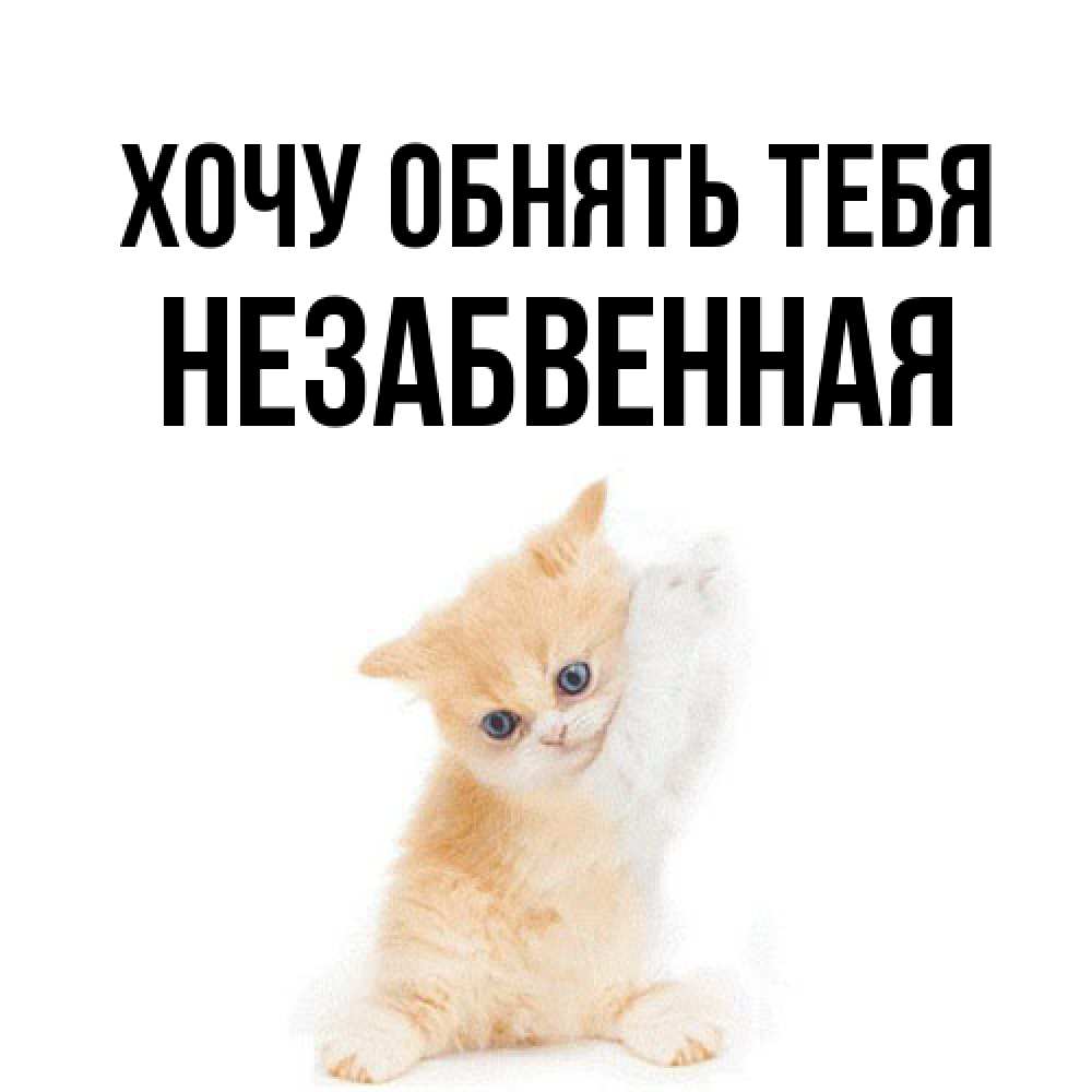 Открытка на каждый день с именем, незабвенная Хочу обнять тебя я хочу очень скорее обнимаешек Прикольная открытка с пожеланием онлайн скачать бесплатно 