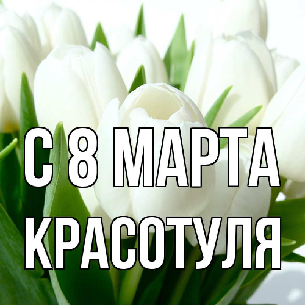 Открытка на каждый день с именем, Красотуля C 8 МАРТА цветы Прикольная открытка с пожеланием онлайн скачать бесплатно 