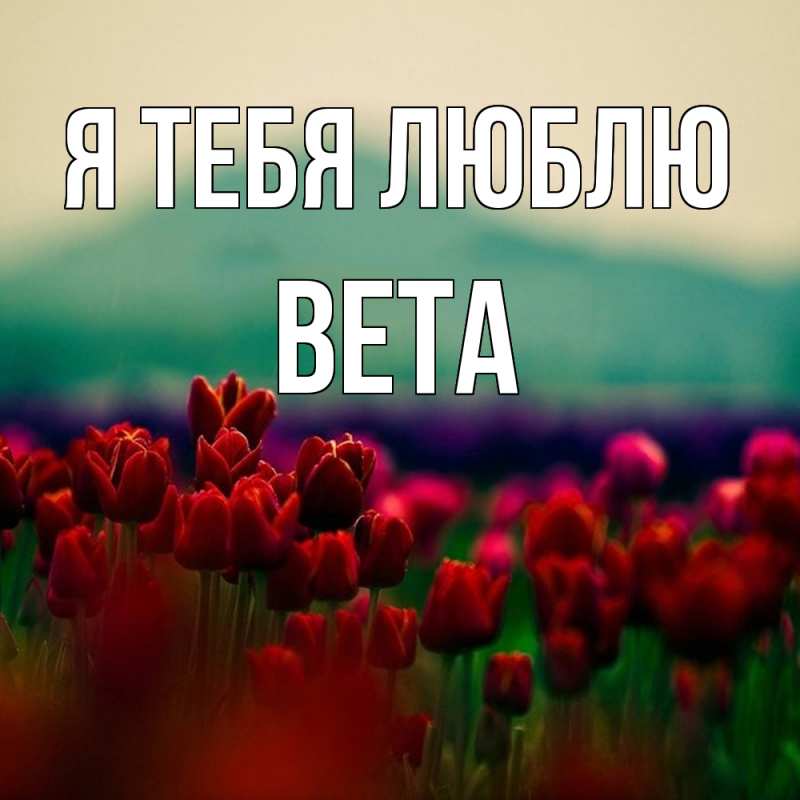 Картинка Я тебя люблю, Вета