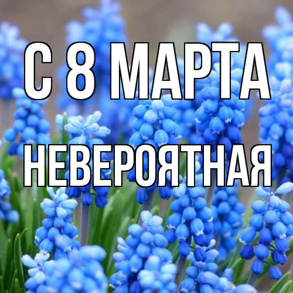 Открытка на каждый день с именем, невероятная C 8 МАРТА Поздравительная открытка для женщин с цветами на праздничную дату Прикольная открытка с пожеланием онлайн скачать бесплатно 