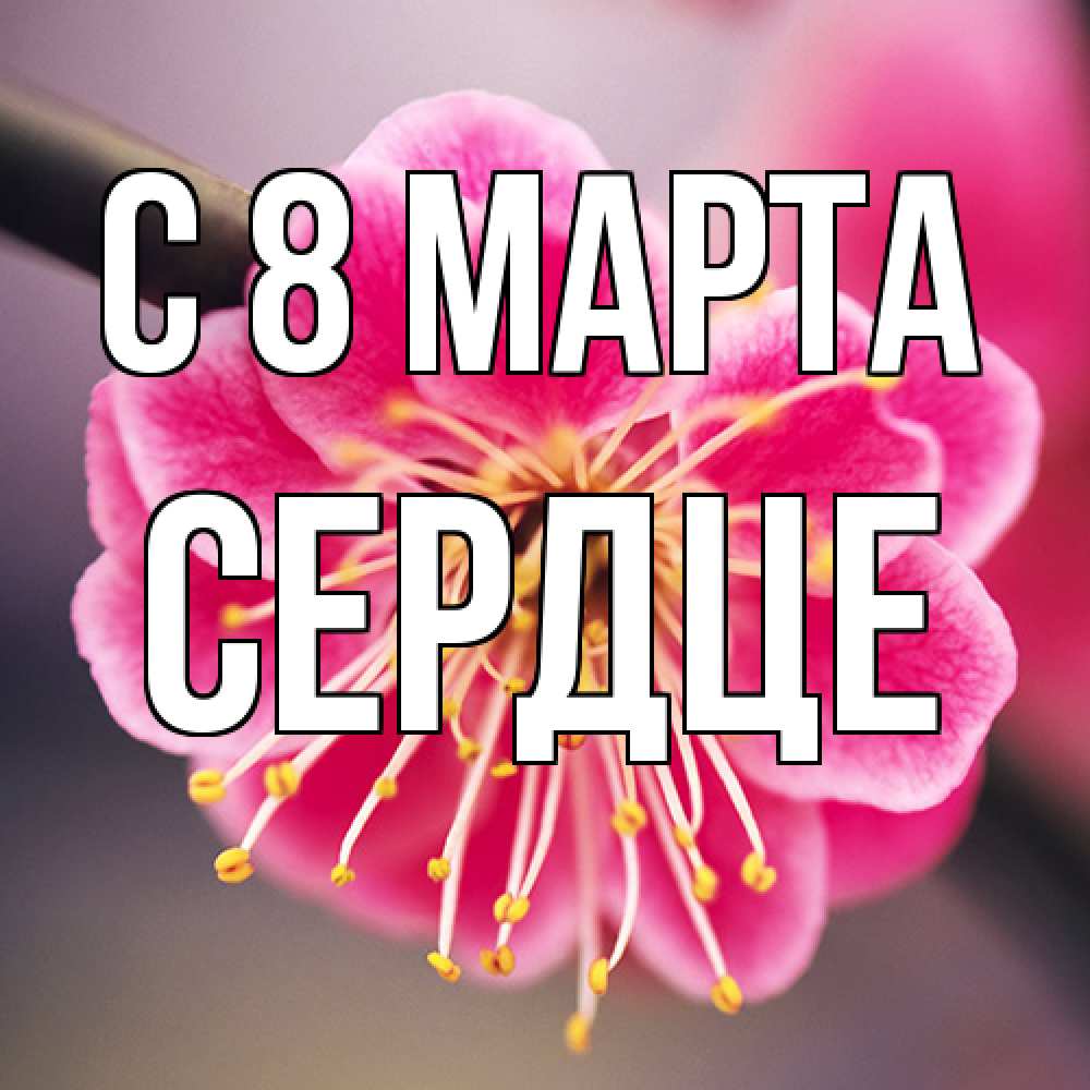 Открытка на каждый день с именем, сердце C 8 МАРТА цветы Прикольная открытка с пожеланием онлайн скачать бесплатно 
