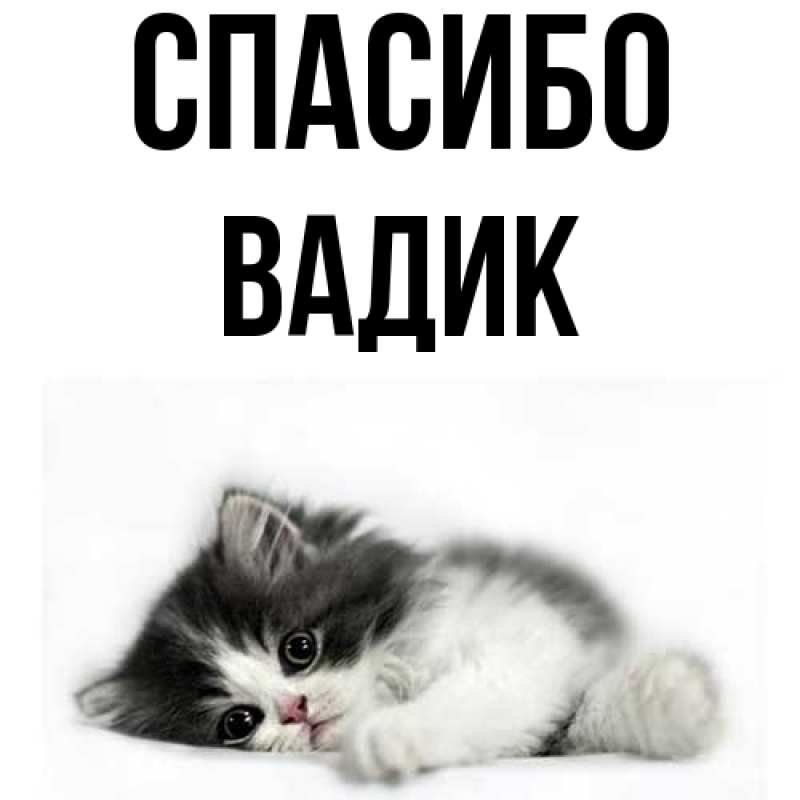 Картинка Спасибо, Вадик