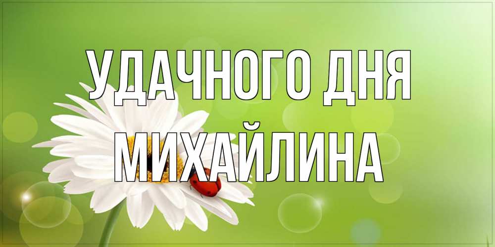 Открытка на каждый день с именем, Михайлина Удачного дня зеленый фон и ромашка Прикольная открытка с пожеланием онлайн скачать бесплатно 