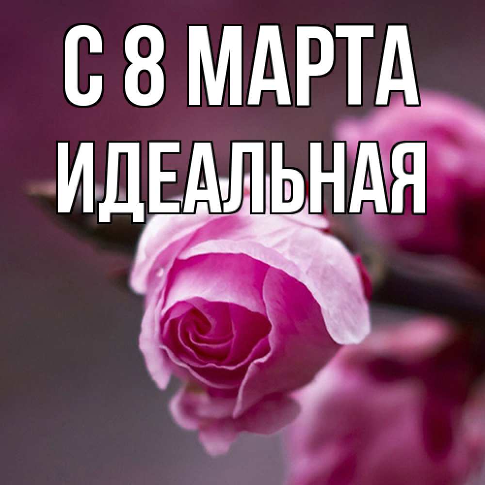 Открытка на каждый день с именем, идеальная C 8 МАРТА весна Прикольная открытка с пожеланием онлайн скачать бесплатно 