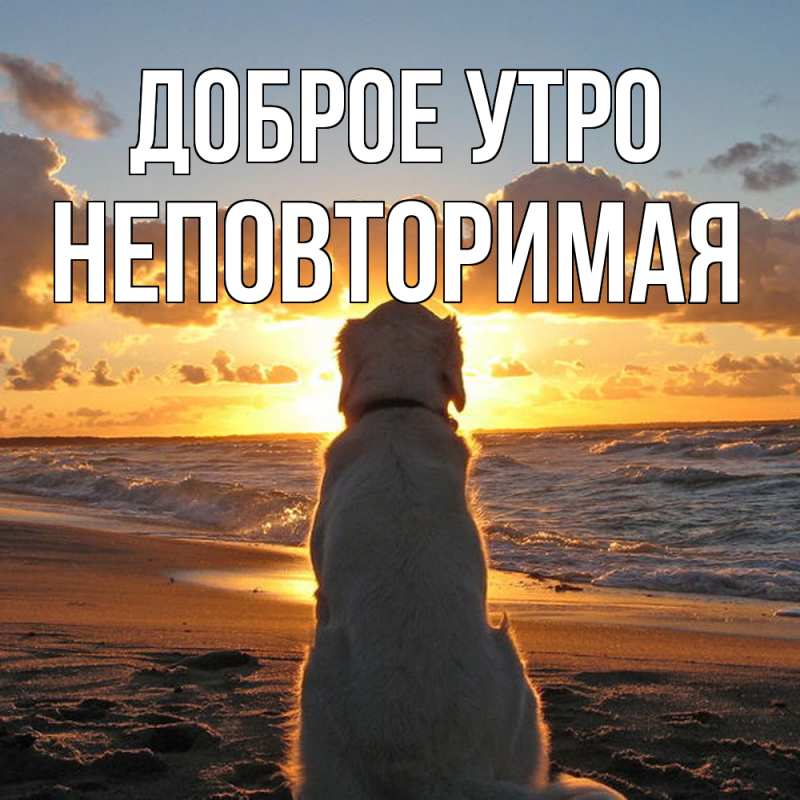 Картинка Доброе утро, Hеповтоpимая