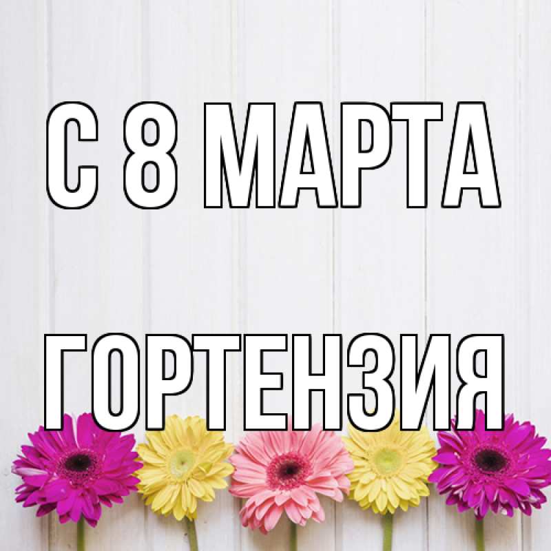 Картинка C 8 МАРТА, Гортензия