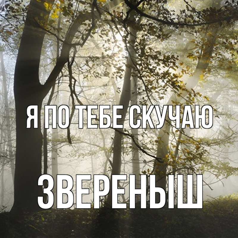 Картинка Я по тебе скучаю, звеpеныш