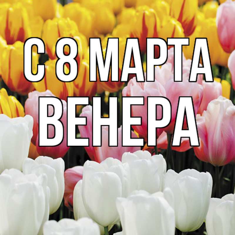 Картинка C 8 МАРТА, Венера