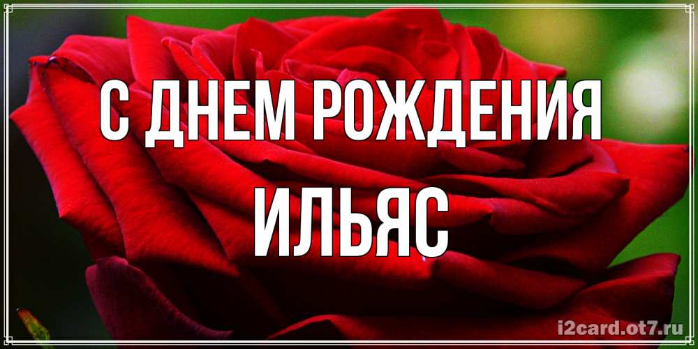 Открытка на каждый день с именем, Ильяс С днем рождения розочка очень красивая Прикольная открытка с пожеланием онлайн скачать бесплатно 