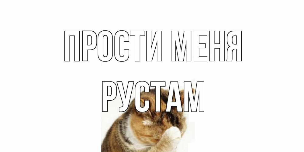 Открытка на каждый день с именем, Рустам Прости меня кот Прикольная открытка с пожеланием онлайн скачать бесплатно 