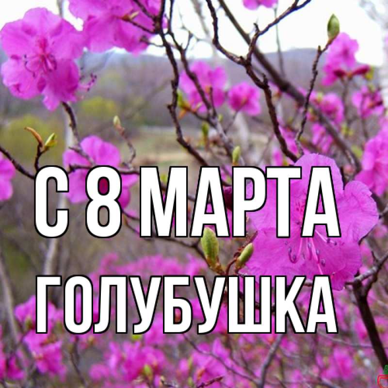 Картинка C 8 МАРТА, Голубушка