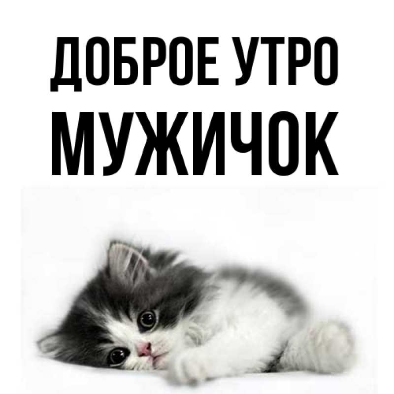 Картинка Доброе утро, Мужичок