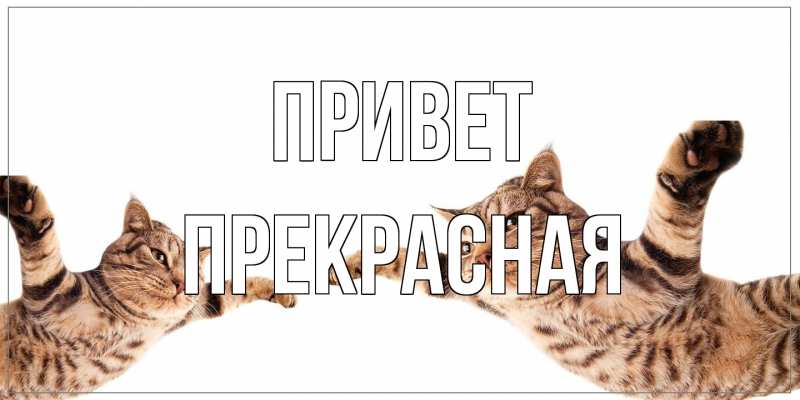 Картинка Привет, Пpекpасная