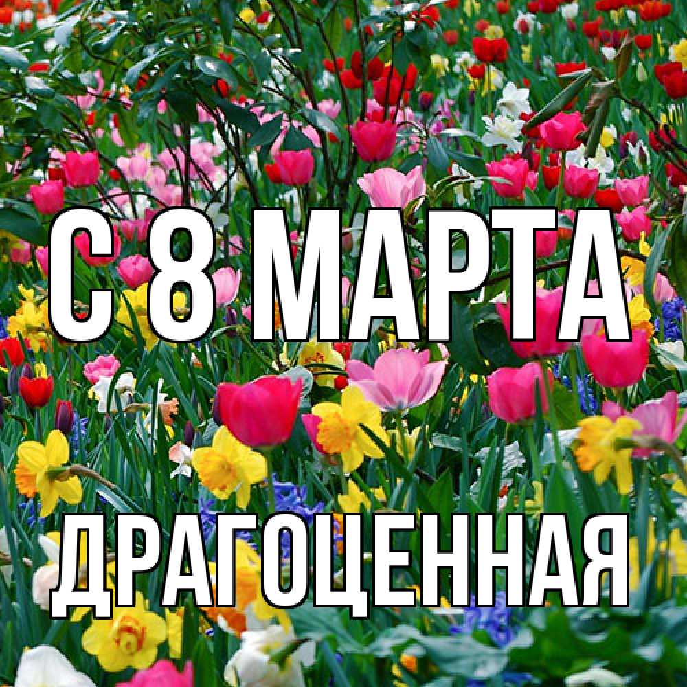 Открытка на каждый день с именем, Драгоценная C 8 МАРТА с международным женским днем поздравления для женщины Прикольная открытка с пожеланием онлайн скачать бесплатно 