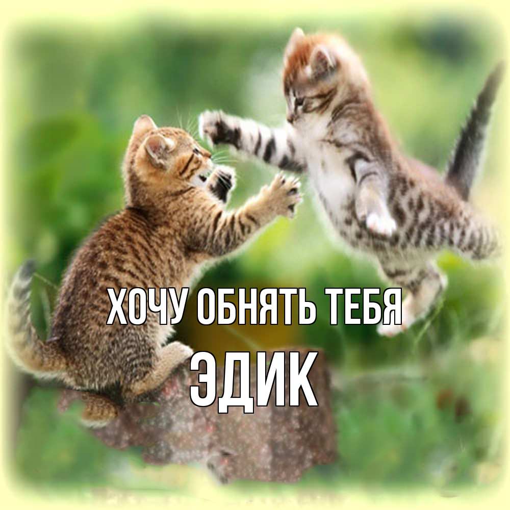Открытка на каждый день с именем, Эдик Хочу обнять тебя игры котят Прикольная открытка с пожеланием онлайн скачать бесплатно 