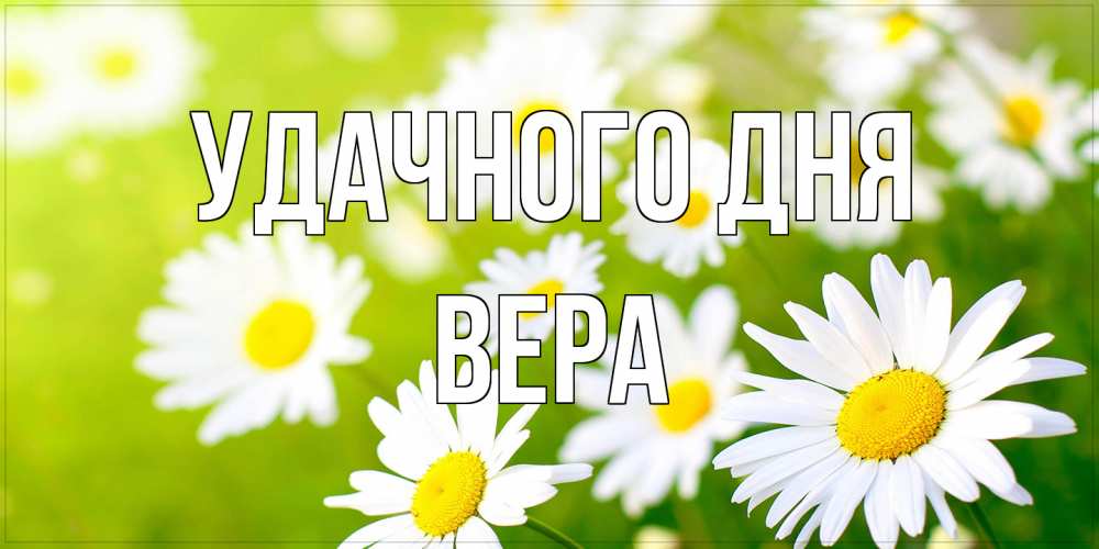Открытка на каждый день с именем, Вера Удачного дня открытка с ромашками на зеленом фоне Прикольная открытка с пожеланием онлайн скачать бесплатно 