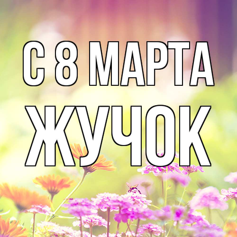 Открытка на каждый день с именем, жучок C 8 МАРТА цветы весна Прикольная открытка с пожеланием онлайн скачать бесплатно 