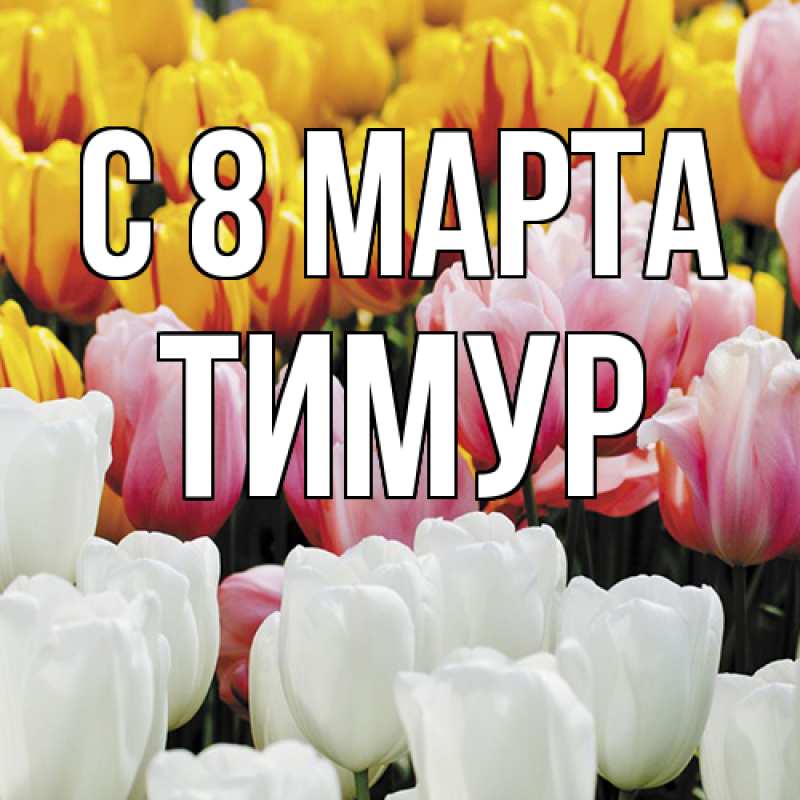 Картинка C 8 МАРТА, Тимур