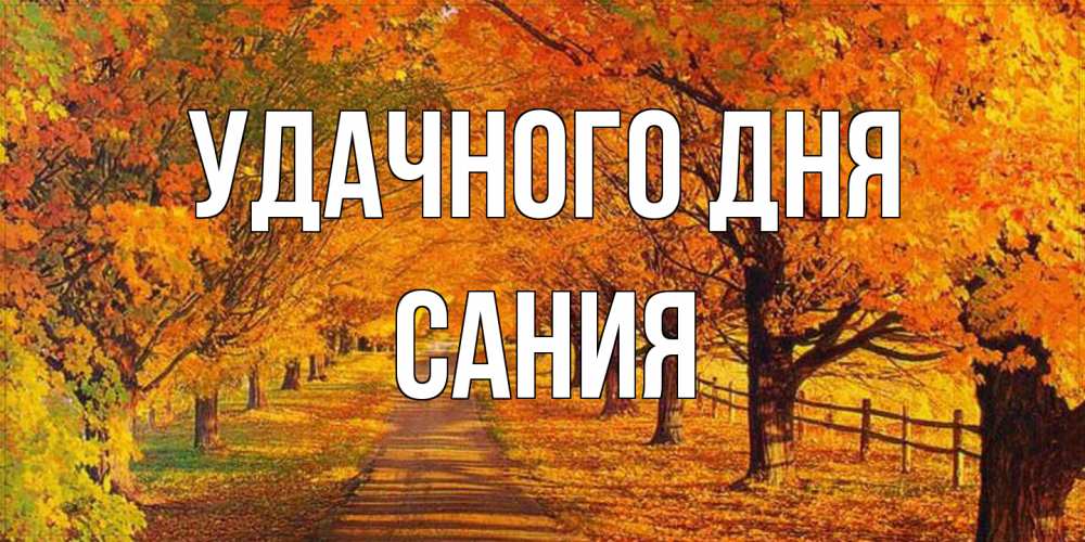 Открытка на каждый день с именем, Сания Удачного дня деревья с осенними листьями Прикольная открытка с пожеланием онлайн скачать бесплатно 