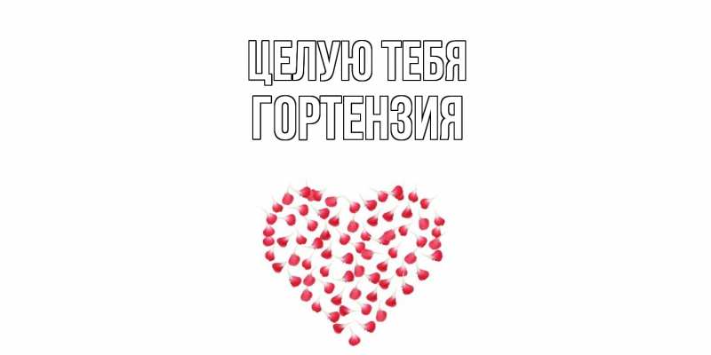 Картинка Целую тебя, Гортензия