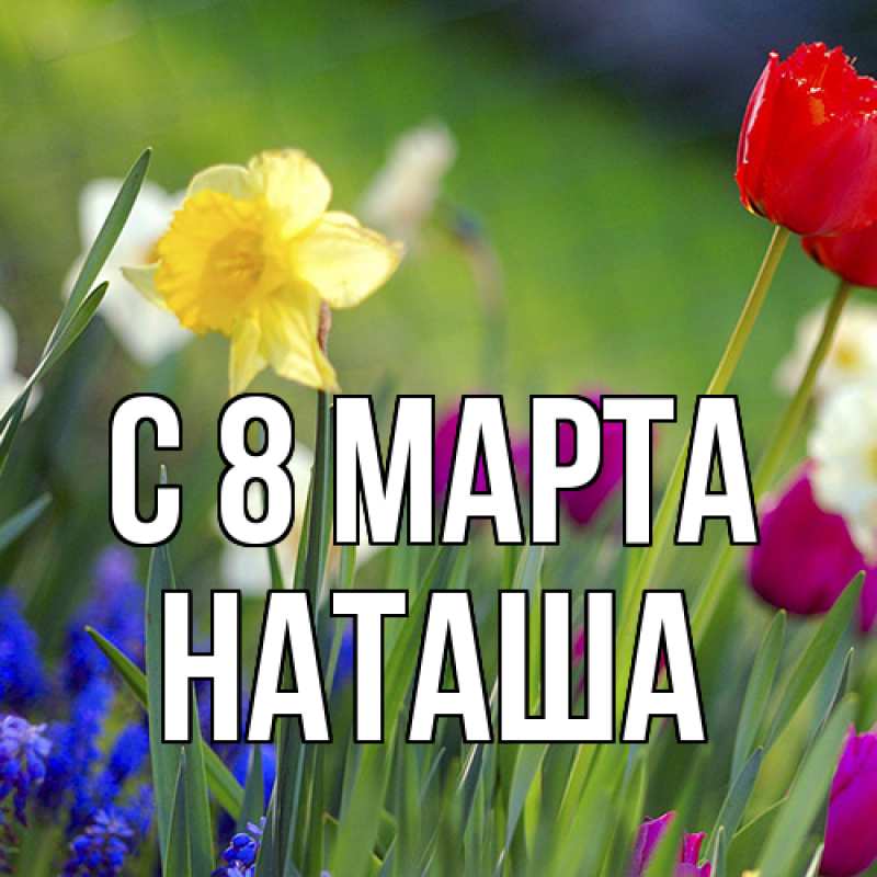 Картинка C 8 МАРТА, Наташа