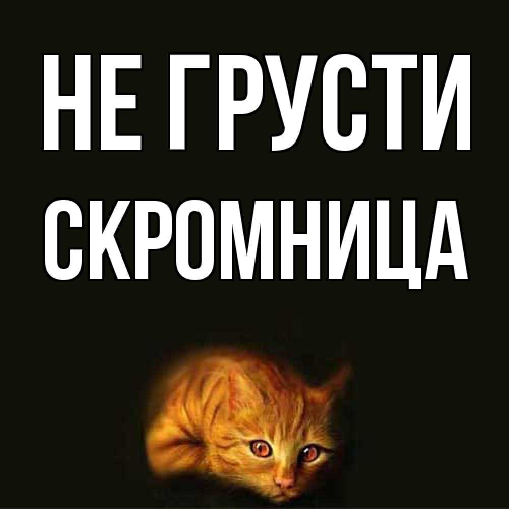 Открытка на каждый день с именем, Скромница Не грусти лежащий кот в темноте Прикольная открытка с пожеланием онлайн скачать бесплатно 