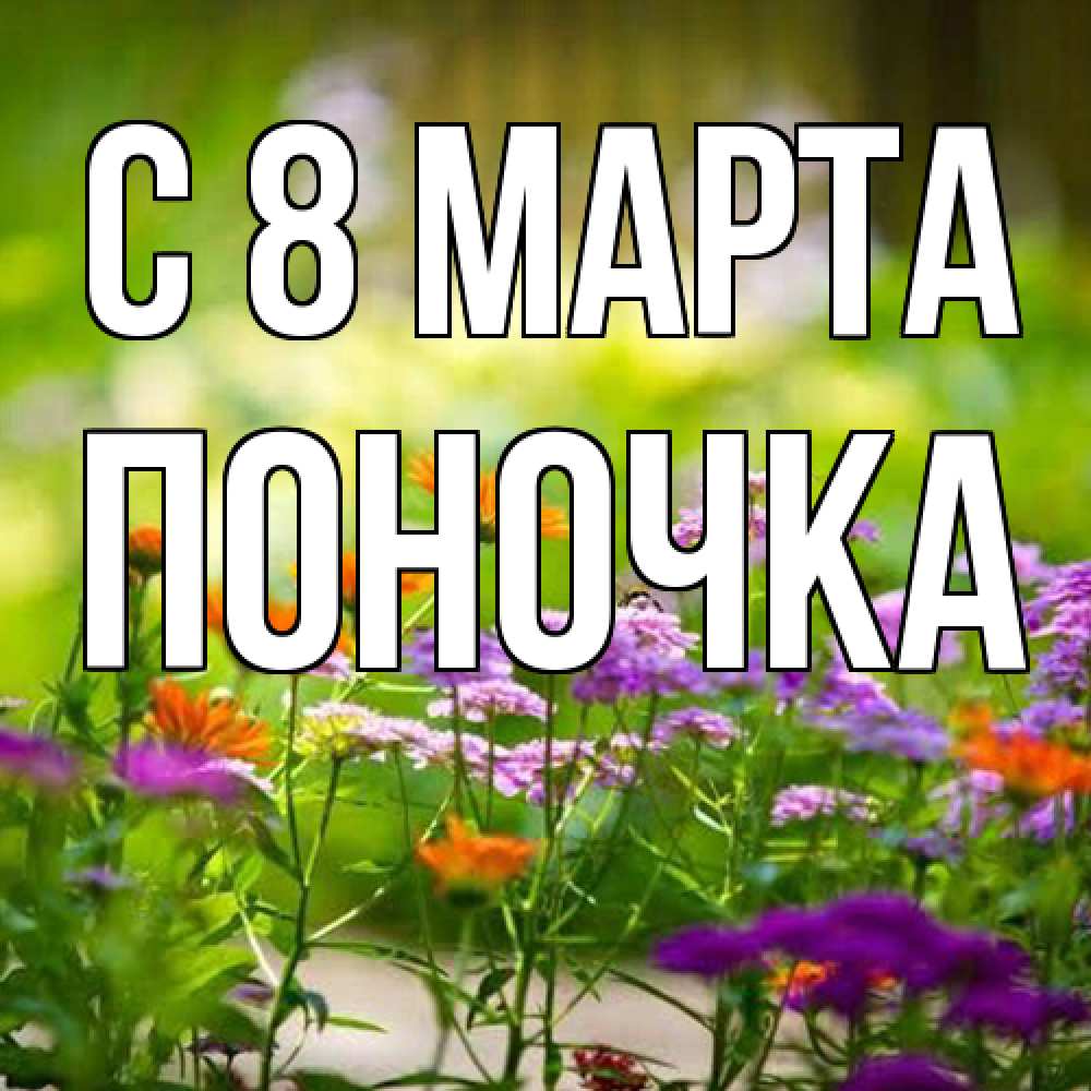 Открытка на каждый день с именем, поночка C 8 МАРТА цветы Прикольная открытка с пожеланием онлайн скачать бесплатно 