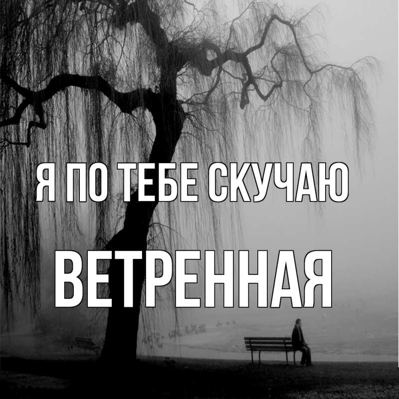 Картинка Я по тебе скучаю, Ветренная