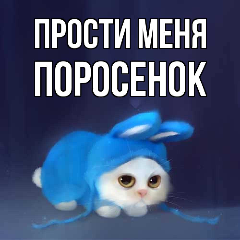 Открытка на каждый день с именем, Поросенок Прости меня невинный котозай просит прощения Прикольная открытка с пожеланием онлайн скачать бесплатно 
