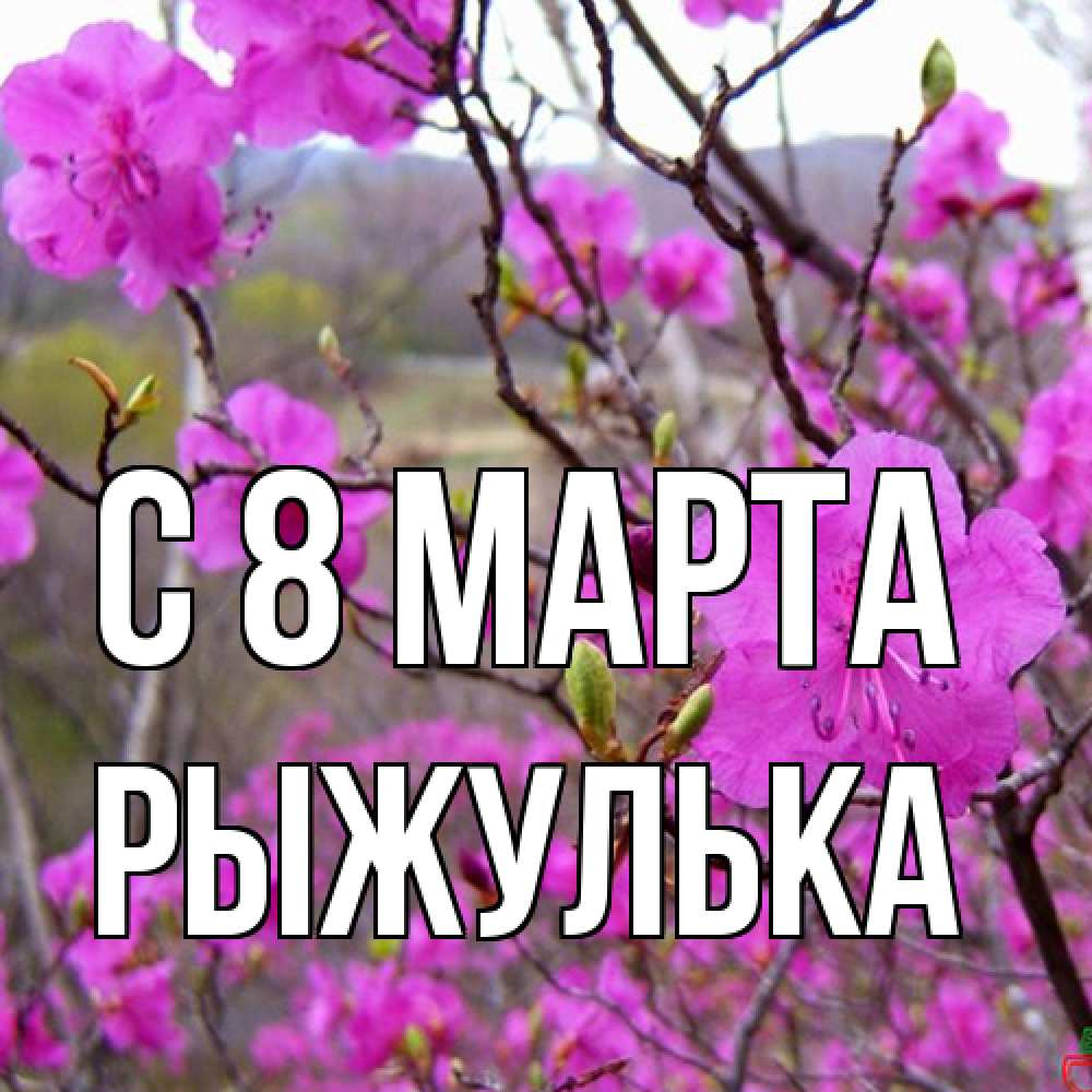 Открытка на каждый день с именем, рыжулька C 8 МАРТА международный женский день Прикольная открытка с пожеланием онлайн скачать бесплатно 