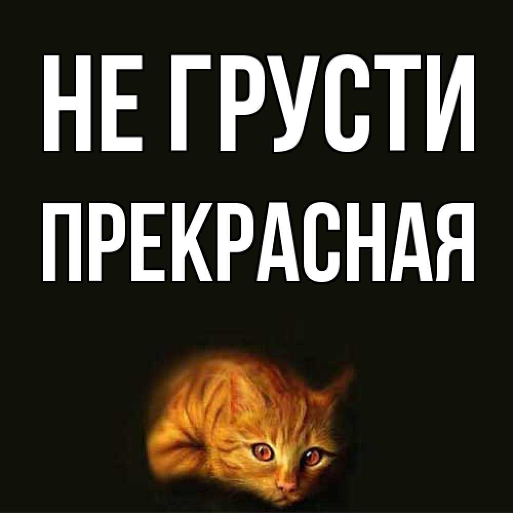 Открытка на каждый день с именем, Пpекpасная Не грусти лежащий кот в темноте Прикольная открытка с пожеланием онлайн скачать бесплатно 