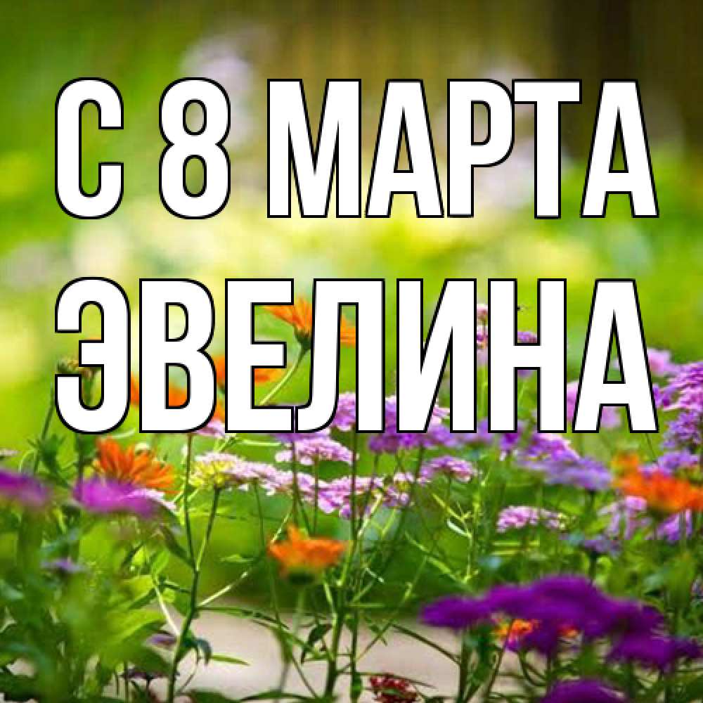 Открытка на каждый день с именем, Эвелина C 8 МАРТА цветы Прикольная открытка с пожеланием онлайн скачать бесплатно 
