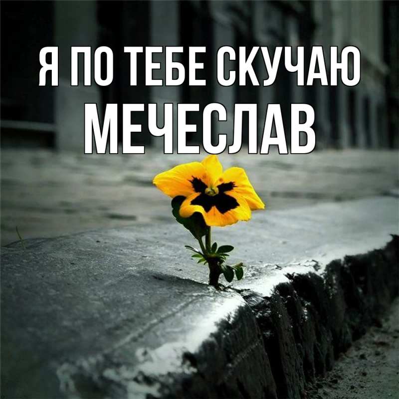Картинка Я по тебе скучаю, Мечеслав