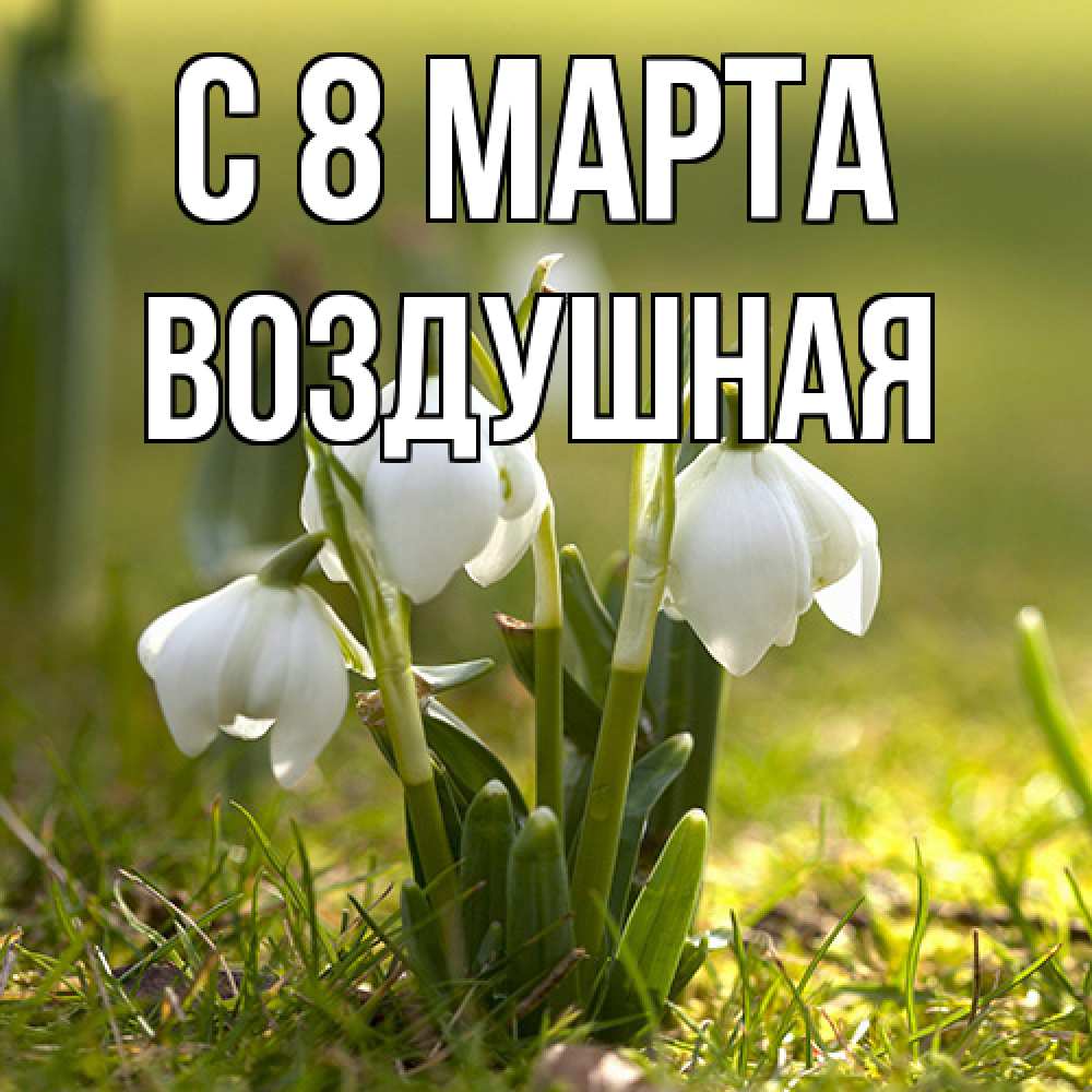 Открытка на каждый день с именем, воздушная C 8 МАРТА ранние цветы 2 Прикольная открытка с пожеланием онлайн скачать бесплатно 