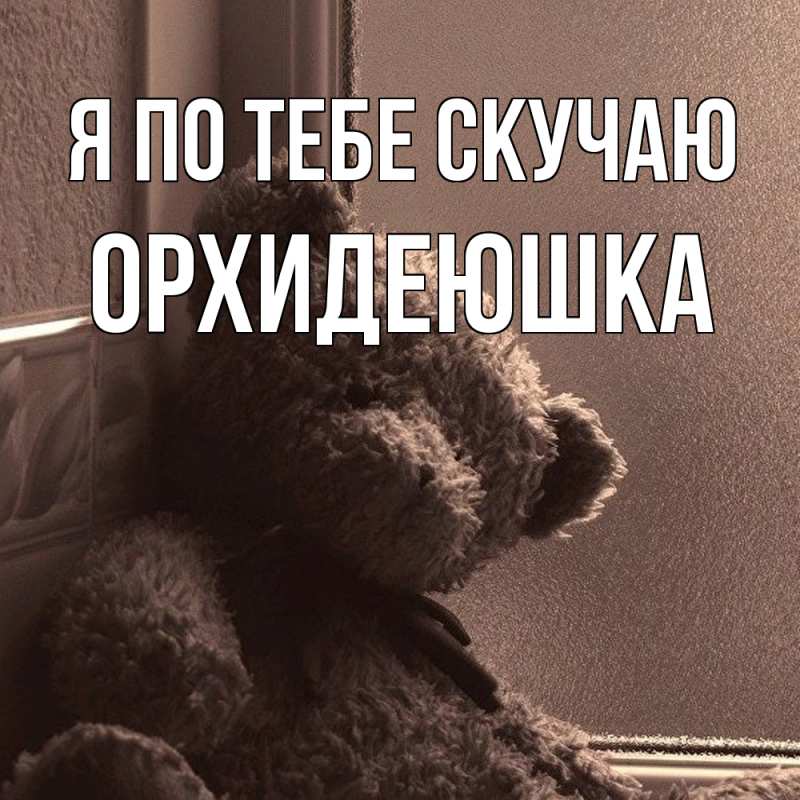 Картинка Я по тебе скучаю, Орхидеюшка