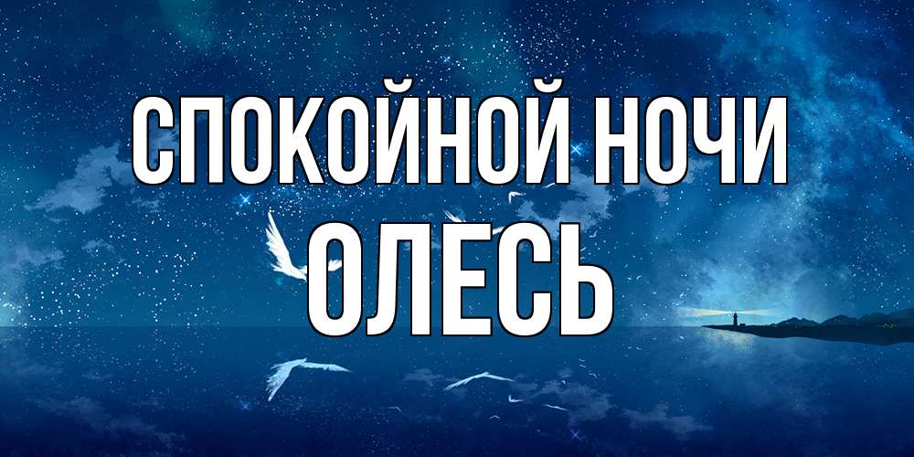 Открытка на каждый день с именем, Олесь Спокойной ночи птицы летят на фоне ночного неба Прикольная открытка с пожеланием онлайн скачать бесплатно 