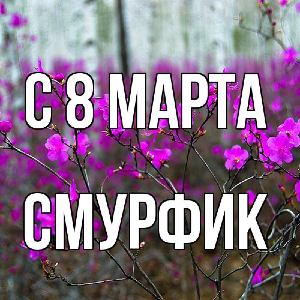 Открытка на каждый день с именем, Смурфик C 8 МАРТА дикие цветы Прикольная открытка с пожеланием онлайн скачать бесплатно 