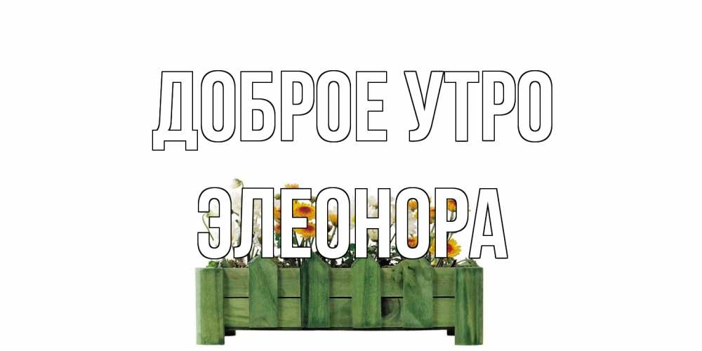 Открытка на каждый день с именем, Элеонора Доброе утро цветы Прикольная открытка с пожеланием онлайн скачать бесплатно 