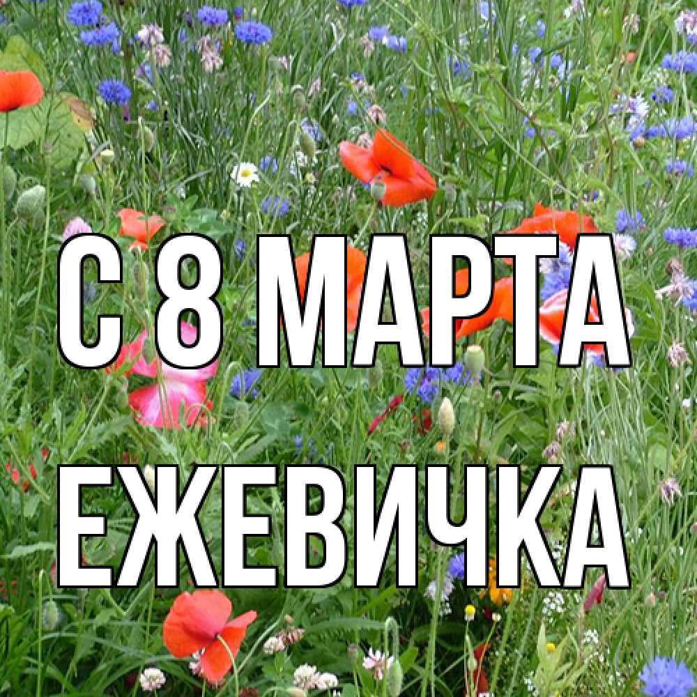 Открытка на каждый день с именем, ежевичка C 8 МАРТА международный женский день 4 Прикольная открытка с пожеланием онлайн скачать бесплатно 