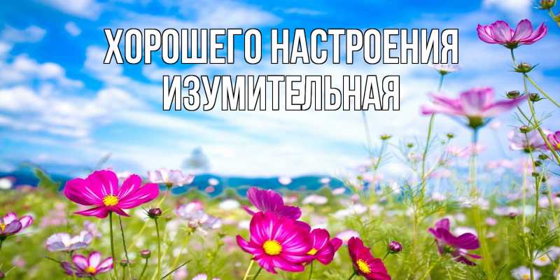 Картинка Хорошего настроения, изумительная