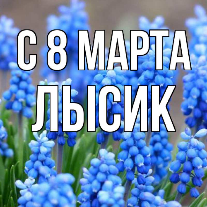 Картинка C 8 МАРТА, Лысик