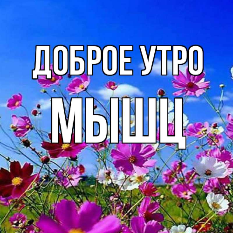 Картинка Доброе утро, Мышц