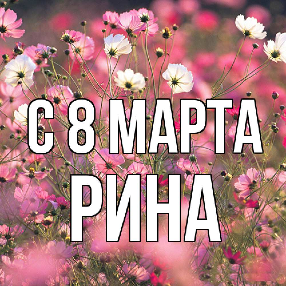 Открытка на каждый день с именем, Рина C 8 МАРТА красиво 1 Прикольная открытка с пожеланием онлайн скачать бесплатно 