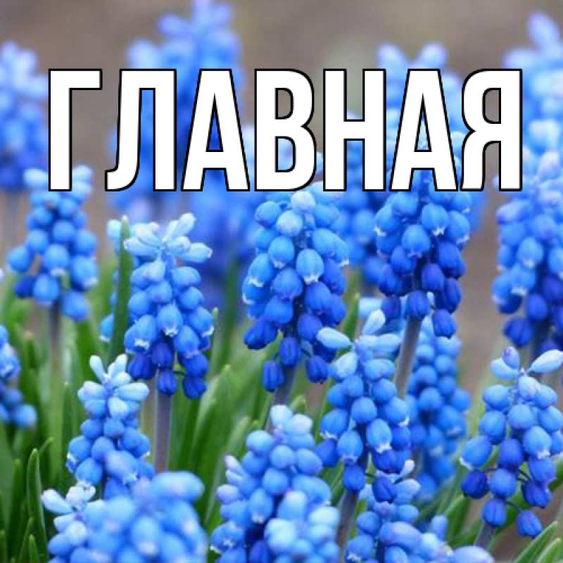 Картинка  с именем , настя